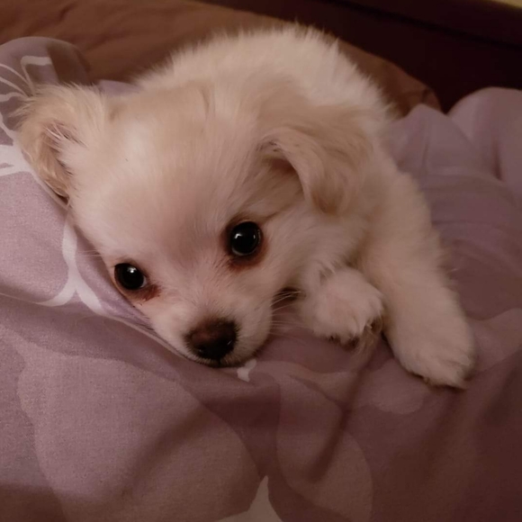 Meet your Posher, Bryn - Picture 9 of 17